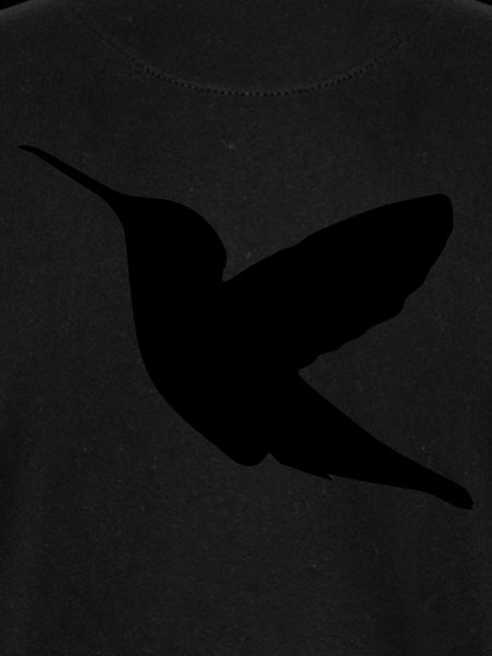 kolibri bird