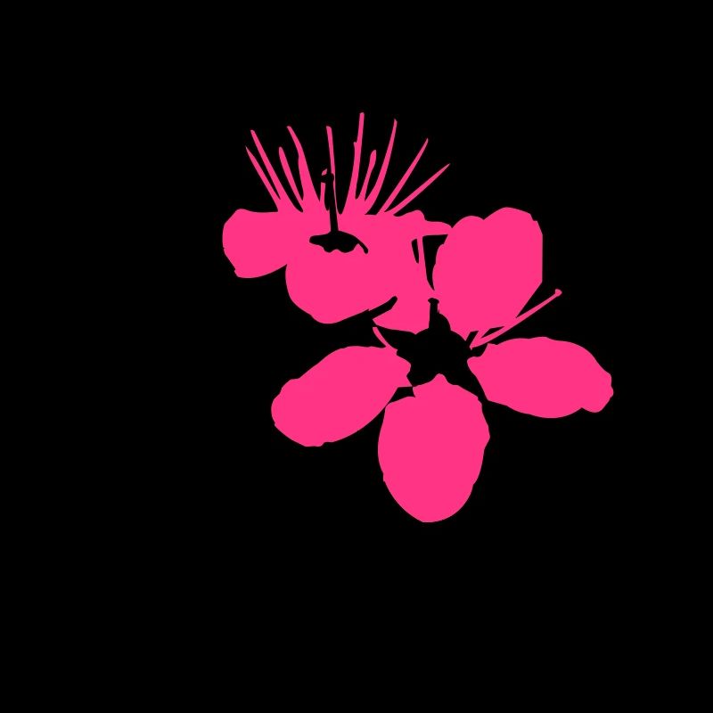 Cherry Blossom