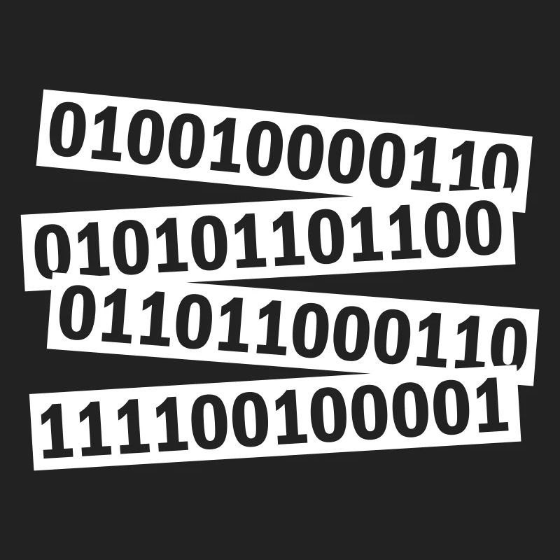 Binary Code Program Language