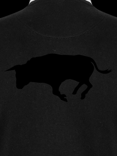 stier