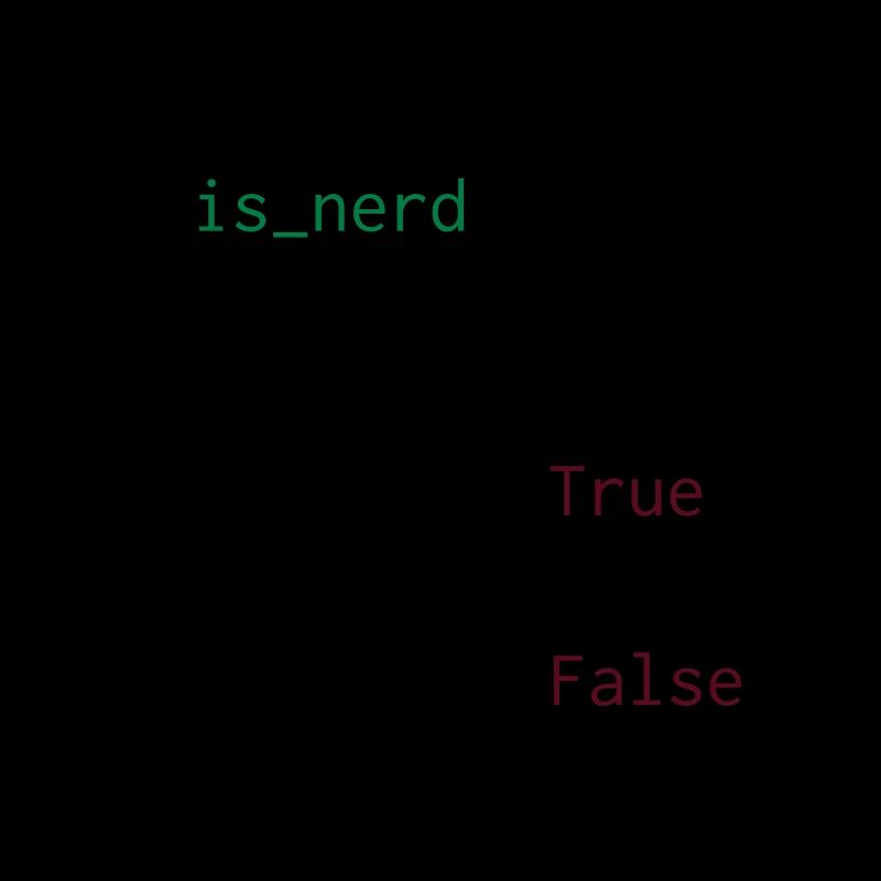 Python Definition von Nerd
