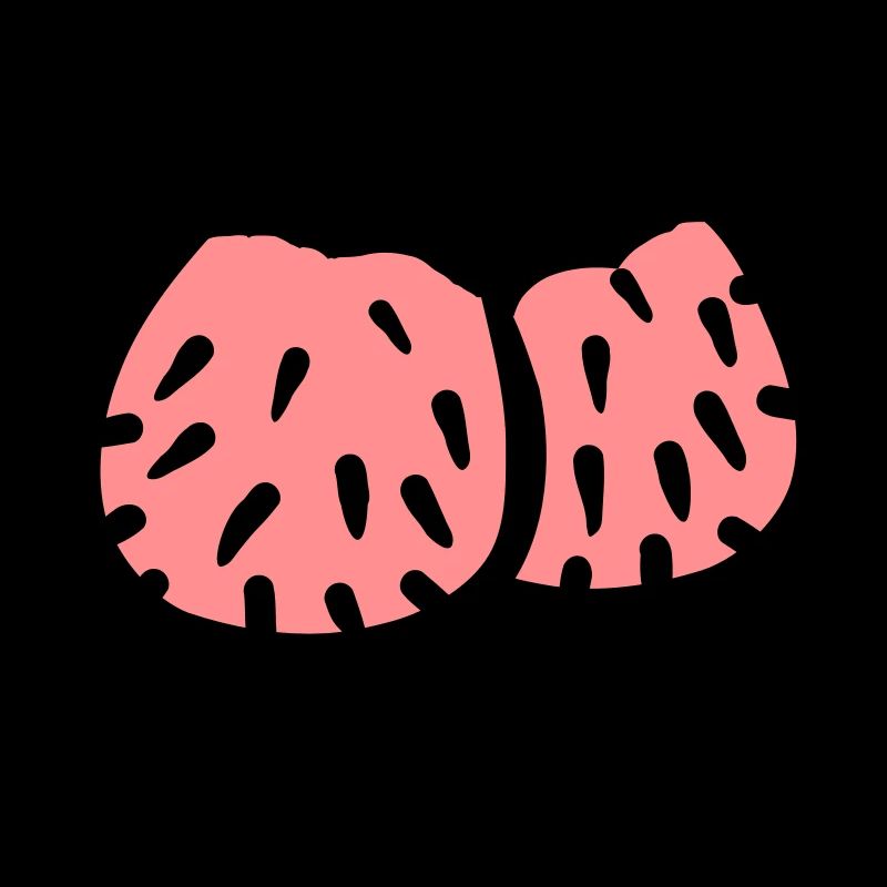 Penis