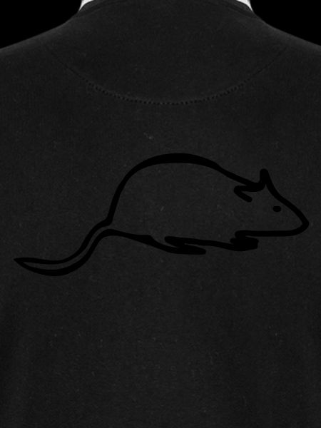 rat