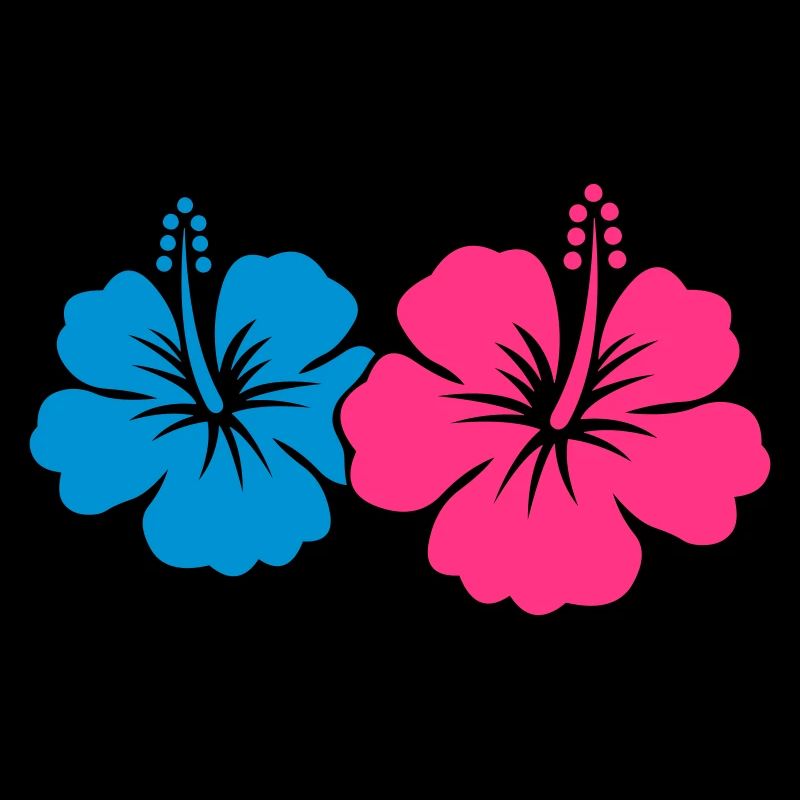 Fleur d’hibiscus