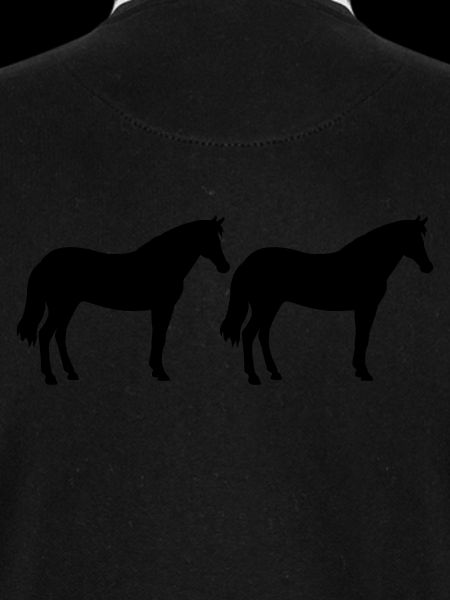 Chevaux