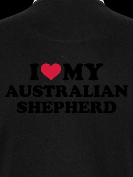 Australian shepherd