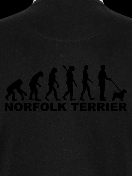 Norfolk Terrier
