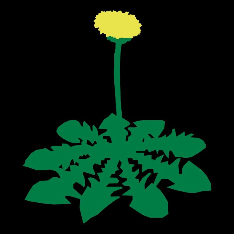 Löwenzahn