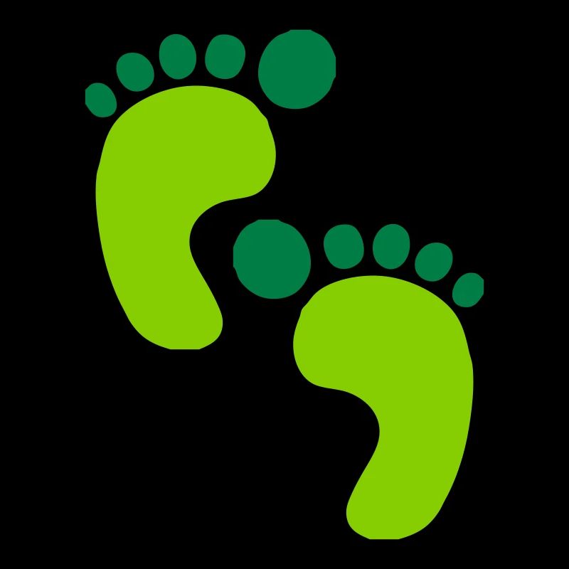 footprints2