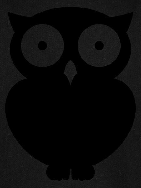 Eule Owl