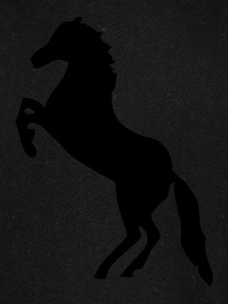 Pferd - Pferde