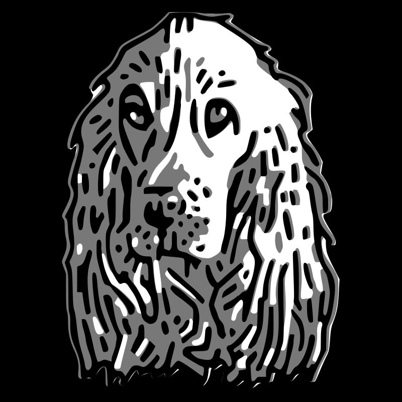 cocker
