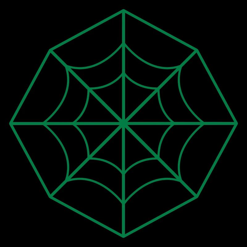 irregular spider web