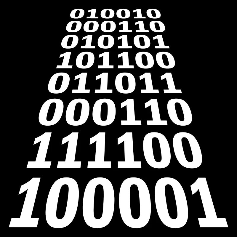 Binär Code Programm Sprache