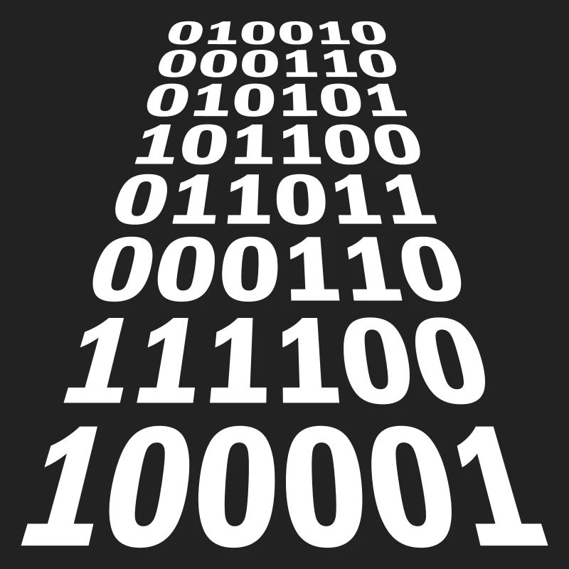 Binary Code Program Language