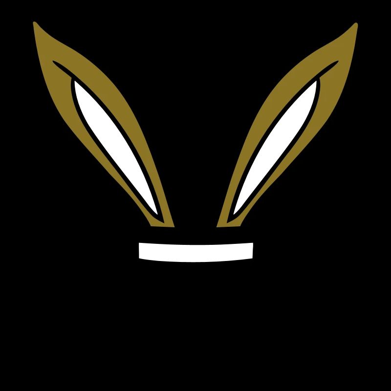 Bunny Top Hat Wizard Rabbit Wizard Trick