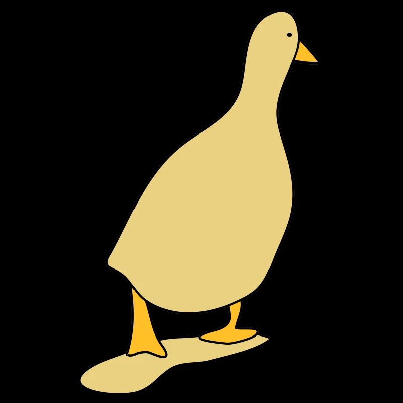 Duck bird 3