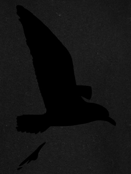 moeve_vogel_shit_f1