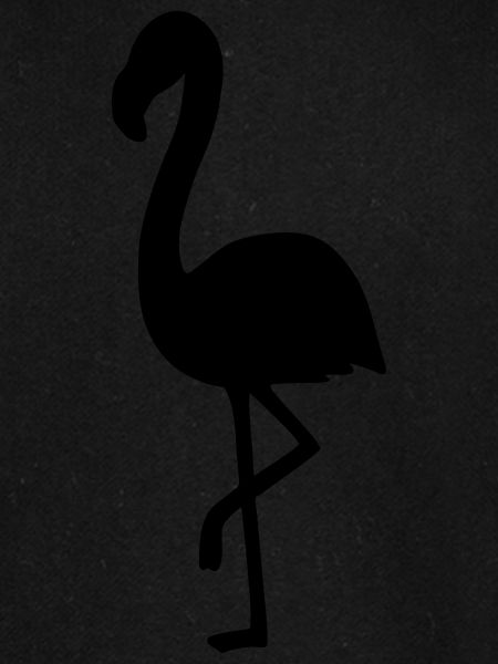 Flamingo 2