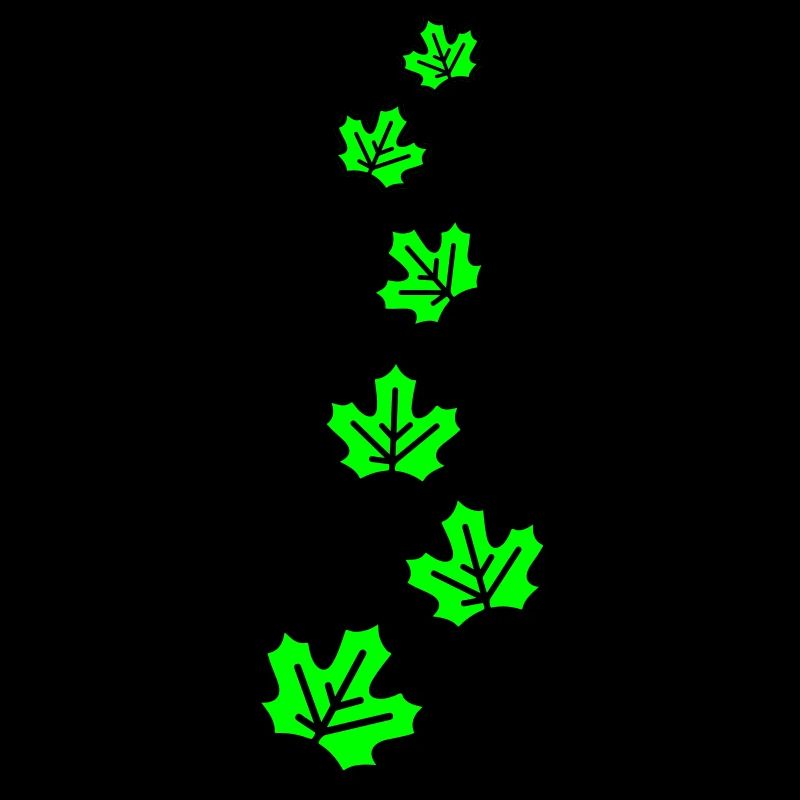 Feuille d’érable Feuilles d’automne