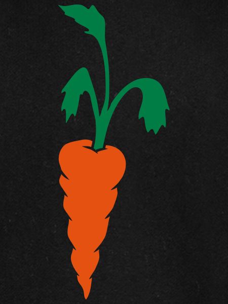 Carrot carrot