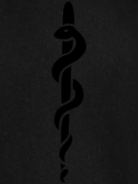 snake stick