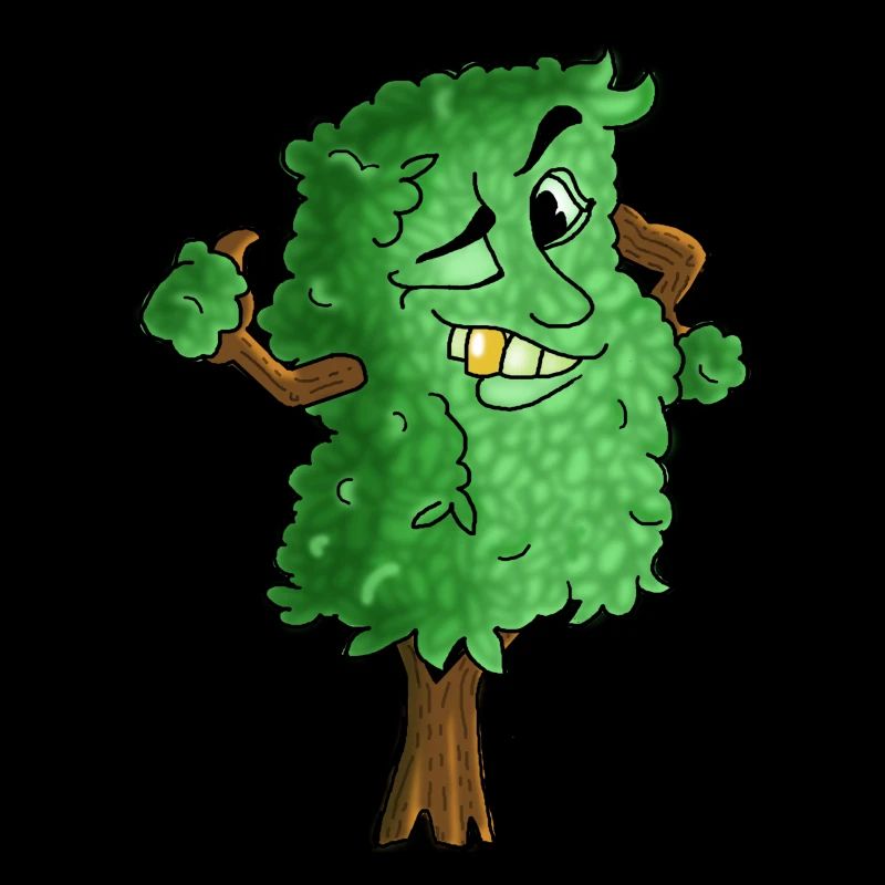 Baum