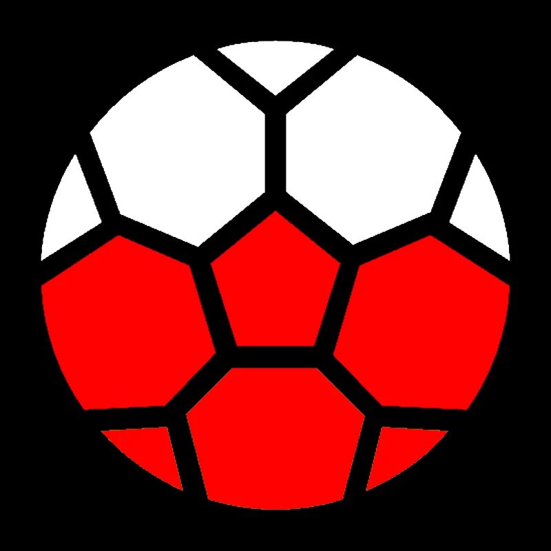  Drapeau Pologne Coupe du monde