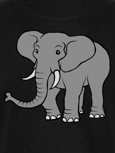 Large grey elephant