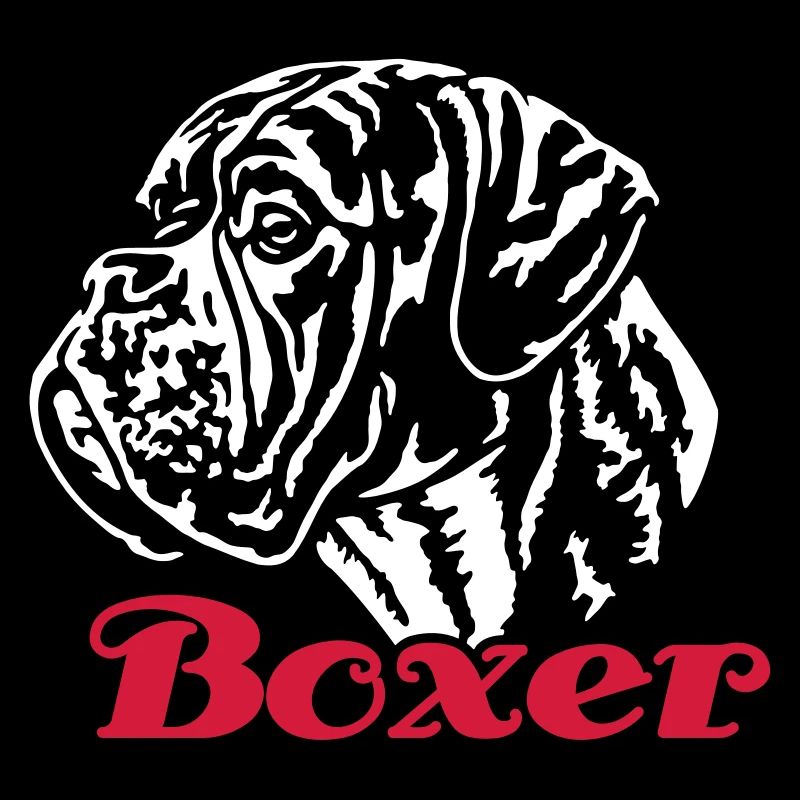 588 Boxer