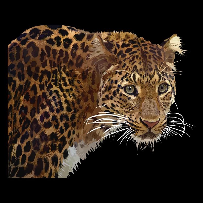 Léopard