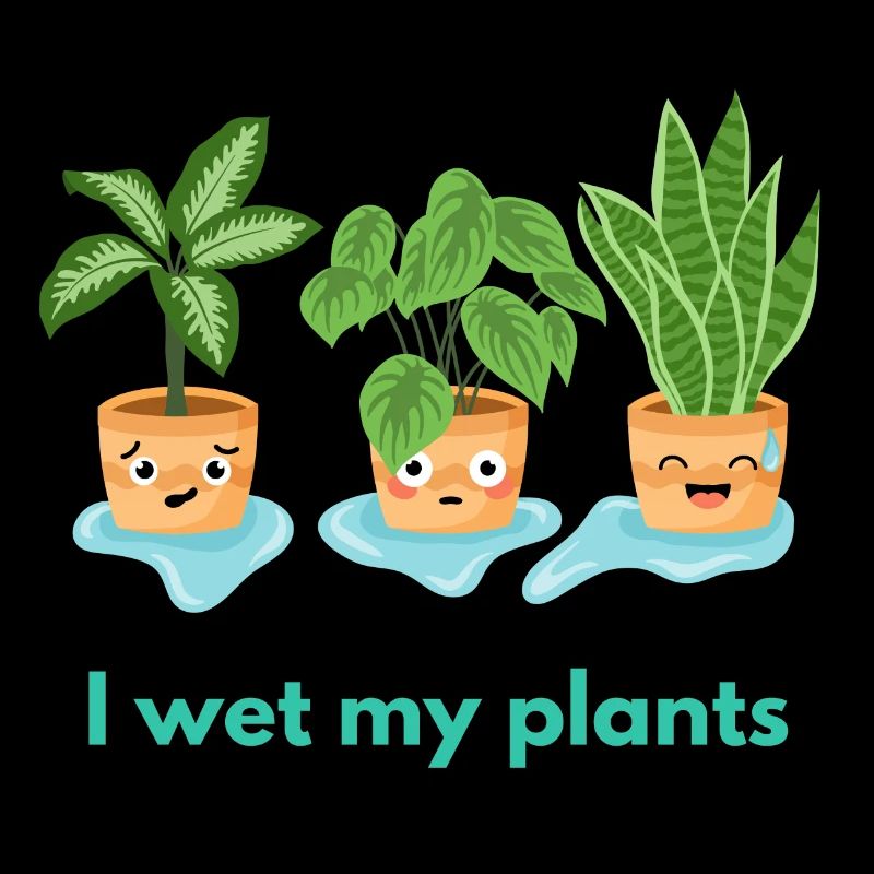 I wet my plants