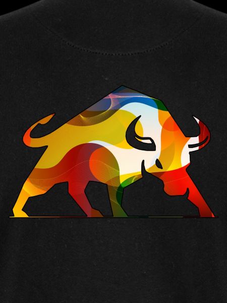 Rainbow-Bull