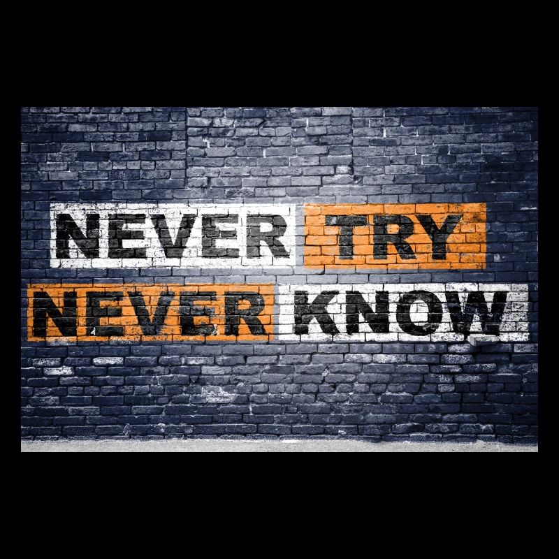 Never Try never know Brick Wall Motivation
