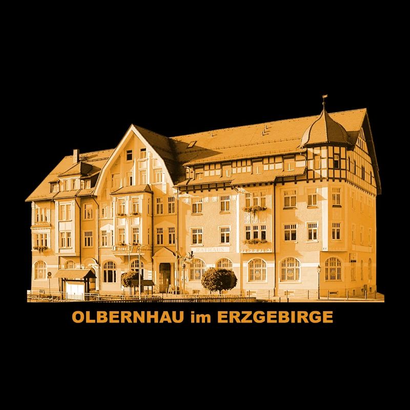Olbernhau Town Hall Ore Mountains Saxony