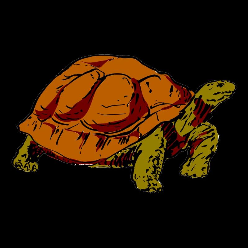 Schildkröte