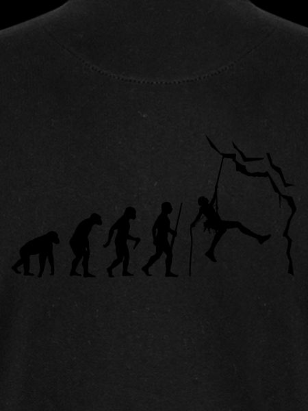 Climbing evolution