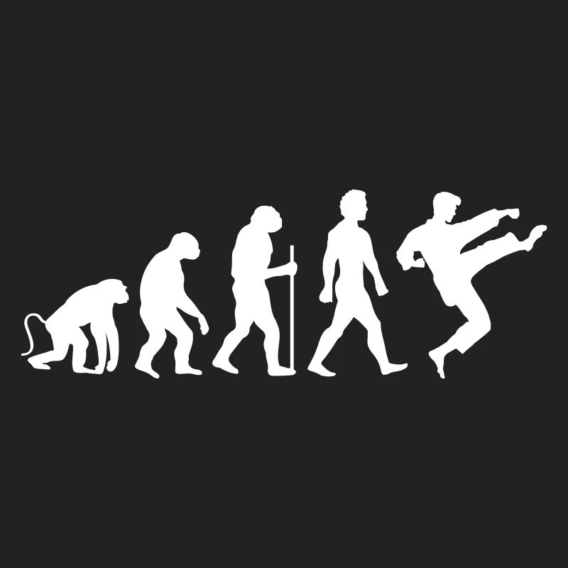 Karate Evolution