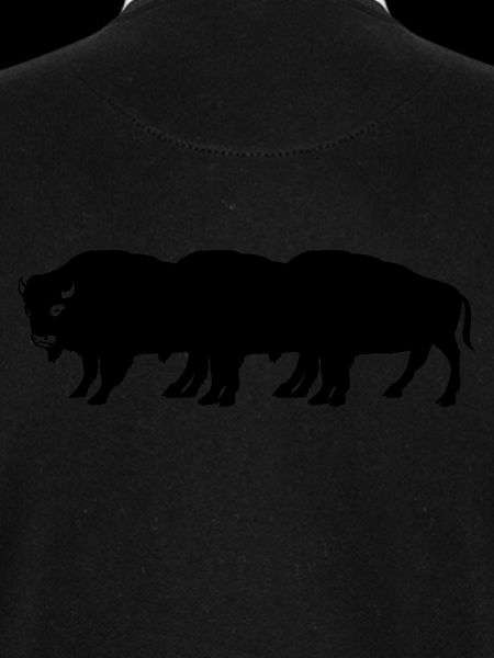 bisons