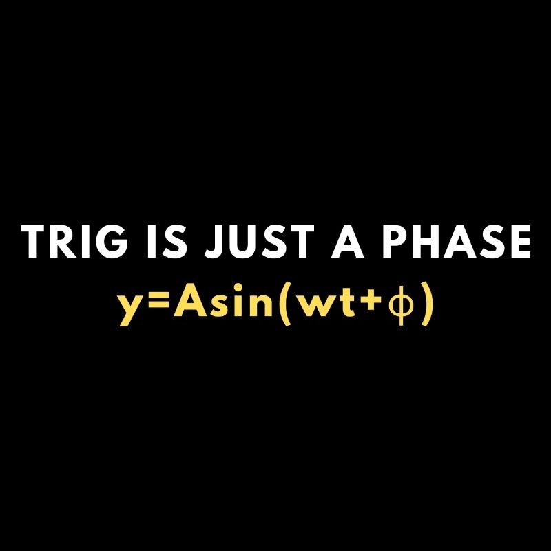 Funny Trigonometry Quote | Math Lovers Gifts