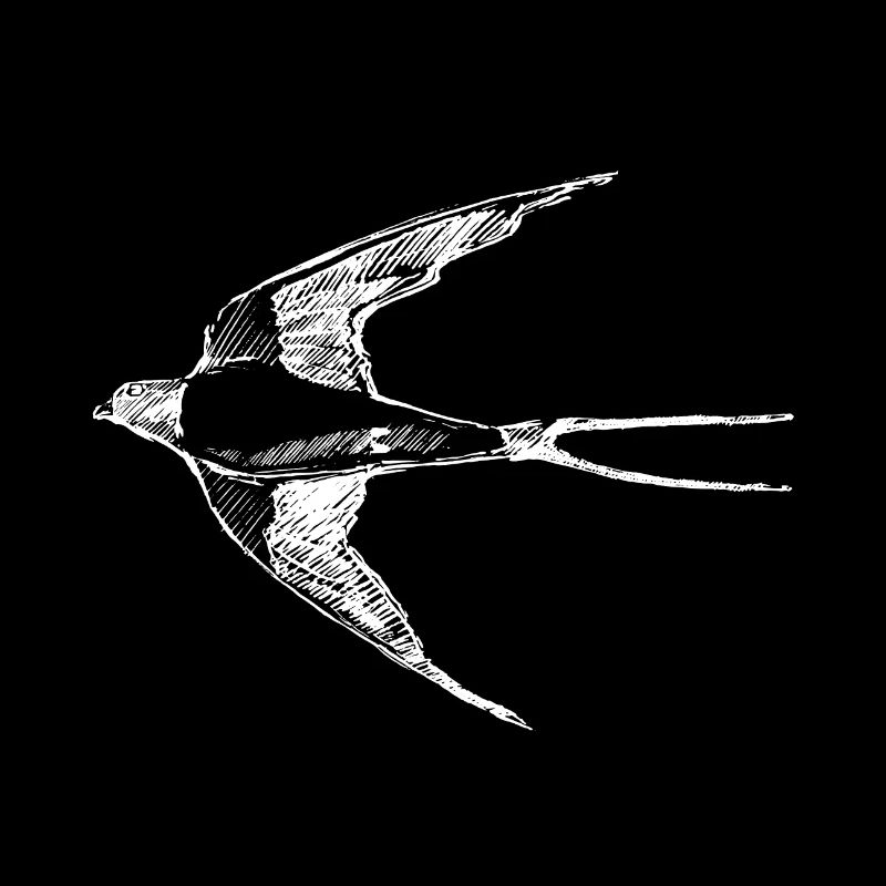 swallow