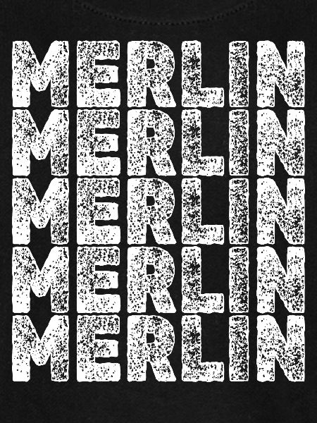 Held Merlin
