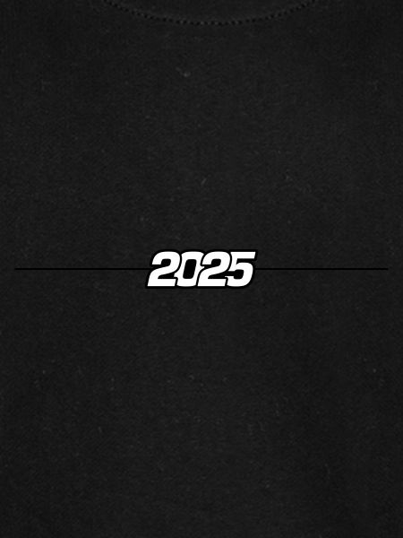 2025 year