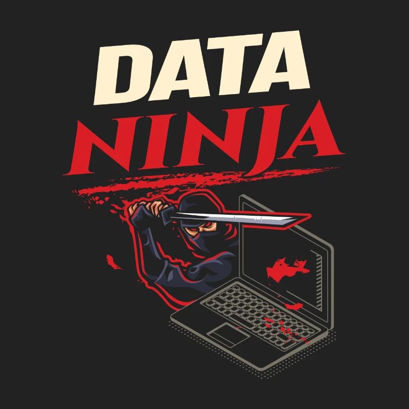 Data Ninja computer programming coder