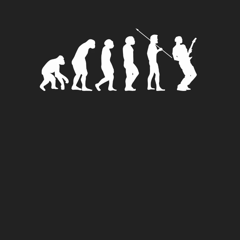 Guitare Guitar evolution Evolution