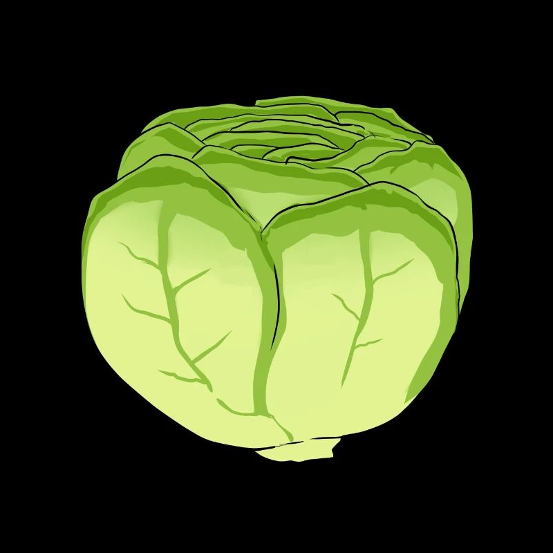 Lettuce Salad Cabbage Cabbage Head Vegetable Kitchen