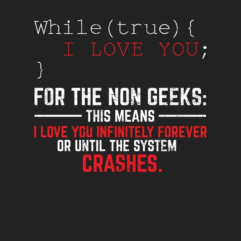 Funny Geek Lover Software Engineer Programmer Deve