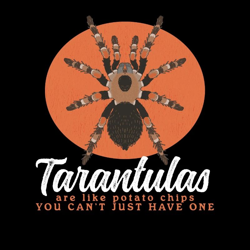 Tarantula Spider Tarantula Tarantula Tarantula Gift