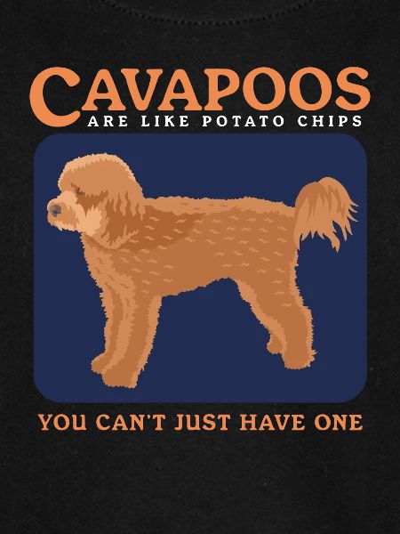 Cavapoo Hunde Cavoodle Hundebesitzer Geschenk