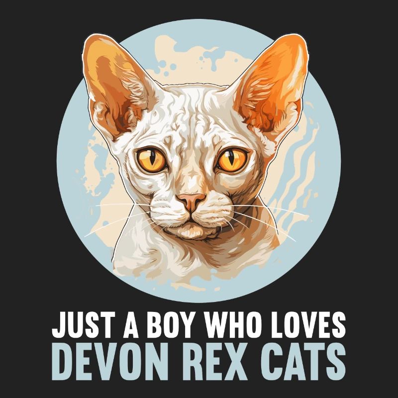 Devon Rex Kätzchen Devon Rex Katze